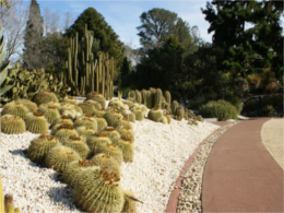 Geelong Botanical Gardens.