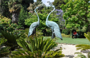Geelong Botanical Gardens.
